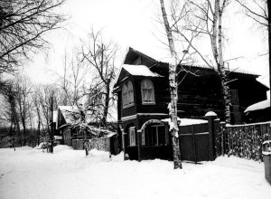 ТИХВИНСКИЕ УЛИЦЫ